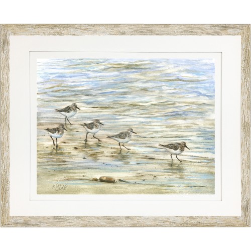 KS- SANDPIPERS IN THE SURF